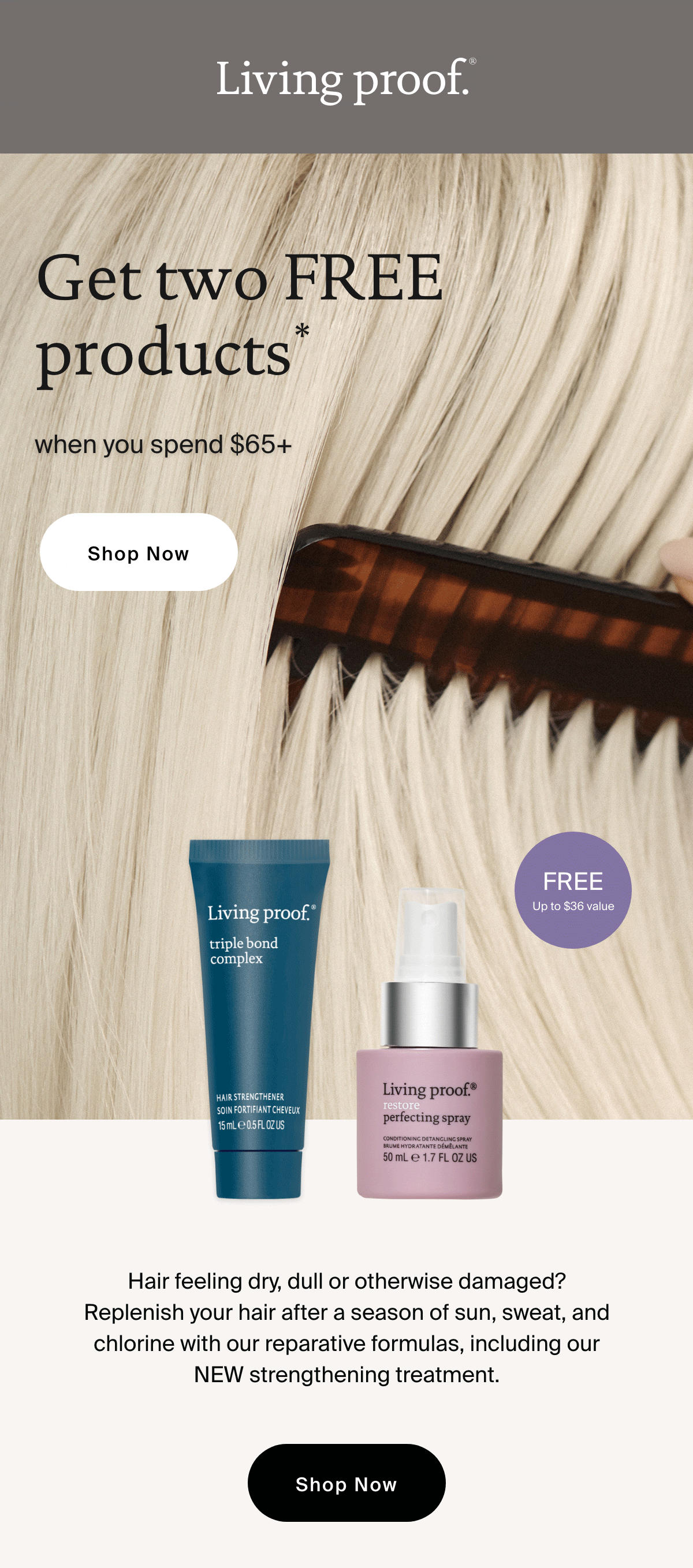 Living Proof: Your healthiest hair for fall 🍂 | Milled