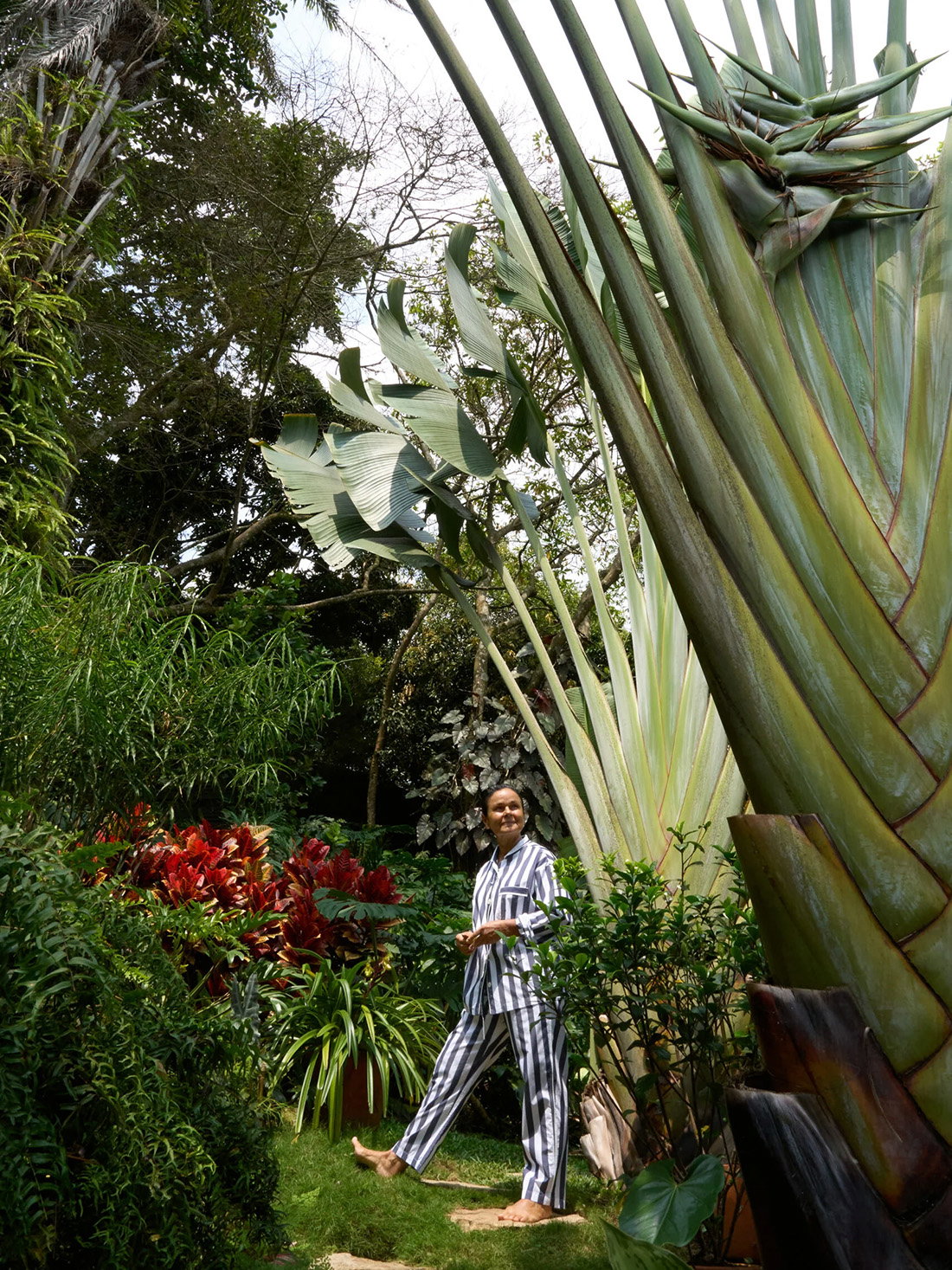 Orchids Hanging From Trees and Bowls of Fruit Are More Than They Seem in This Colombian Aerie