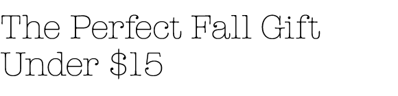 The Perfect Fall Gift Under $15