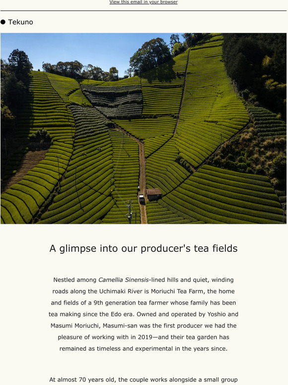 Tea with... Masumi Moriuchi