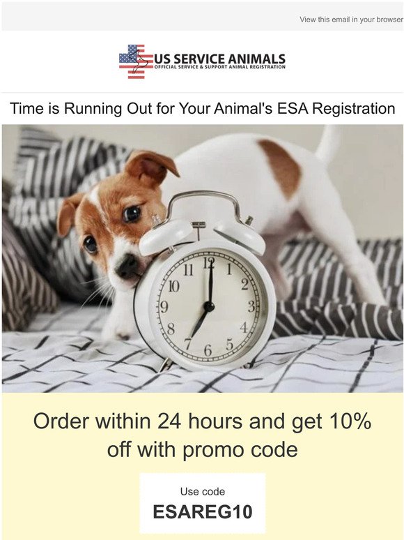 US Service Animals: Your Emotional Support Animal Registration Is Just 2  Clicks Away | Milled