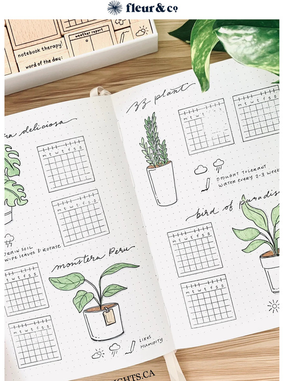 Soothe your Soul with Journaling and Planting 🌿