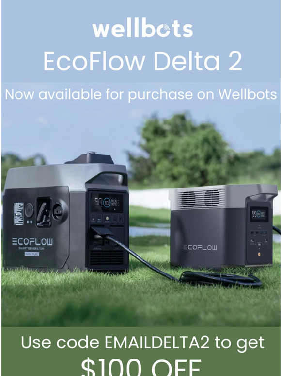 Wellbots Source EcoFlow Delta 2 at 100 OFF Milled