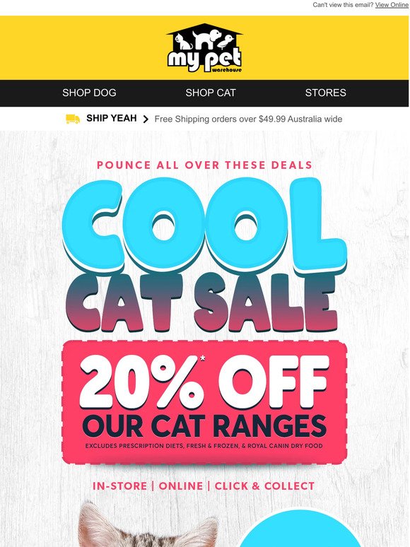 20% off our Cool Cat sale