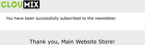 Newsletter subscription success