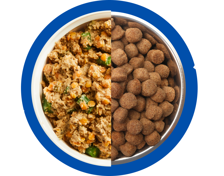 PetPlate HumanGrade v. FeedGrade Dog Food Milled