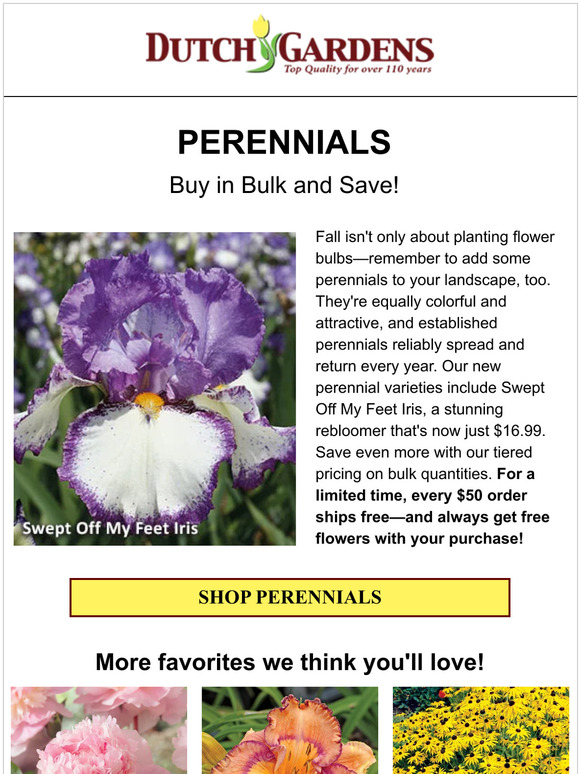 Our new perennials will sweep you off your feet!