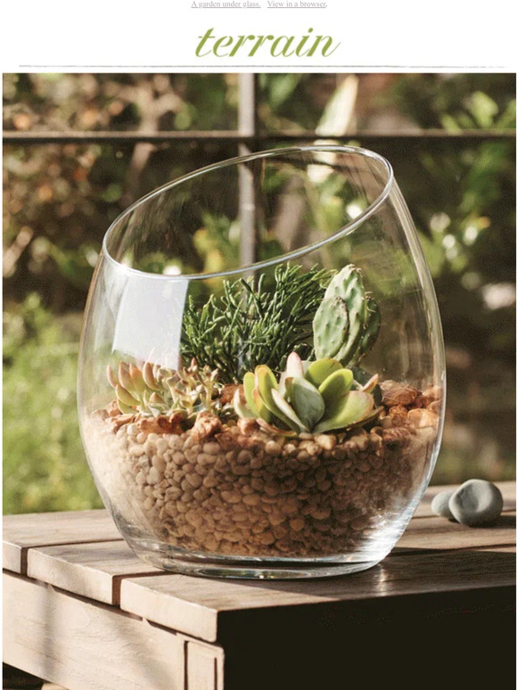 Terrain Build a custom terrarium in 4 steps. Milled