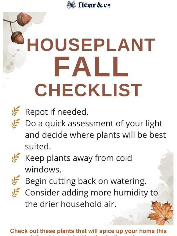 Houseplant Fall Checklist! 🍂