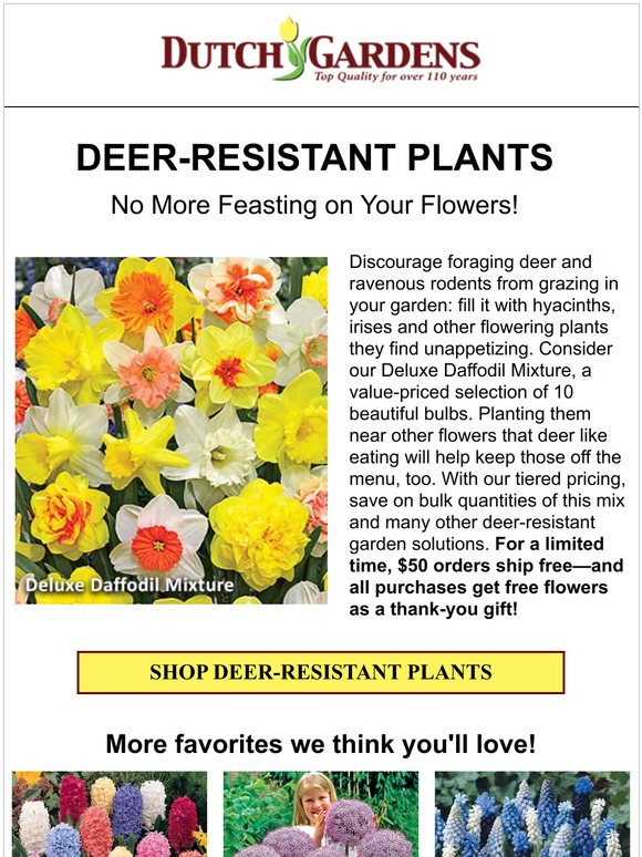 🦌 Plant a flower that a deer won’t devour
