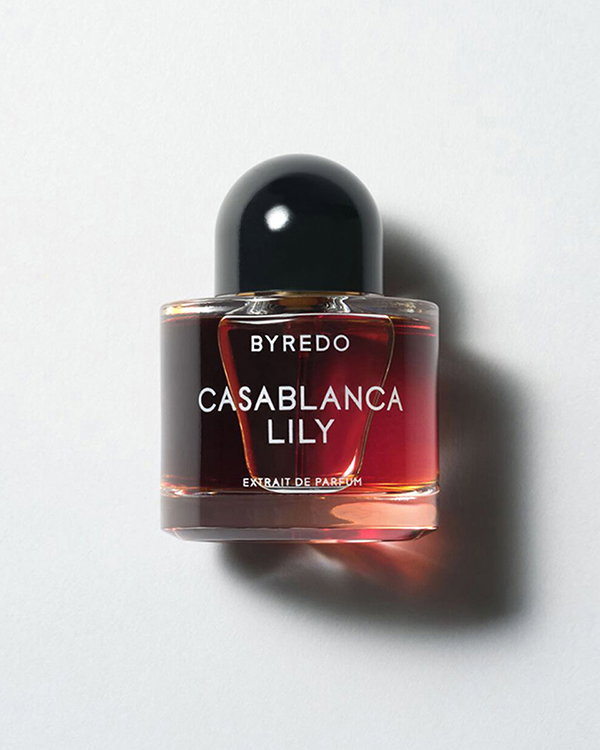 Casablanca Lilly