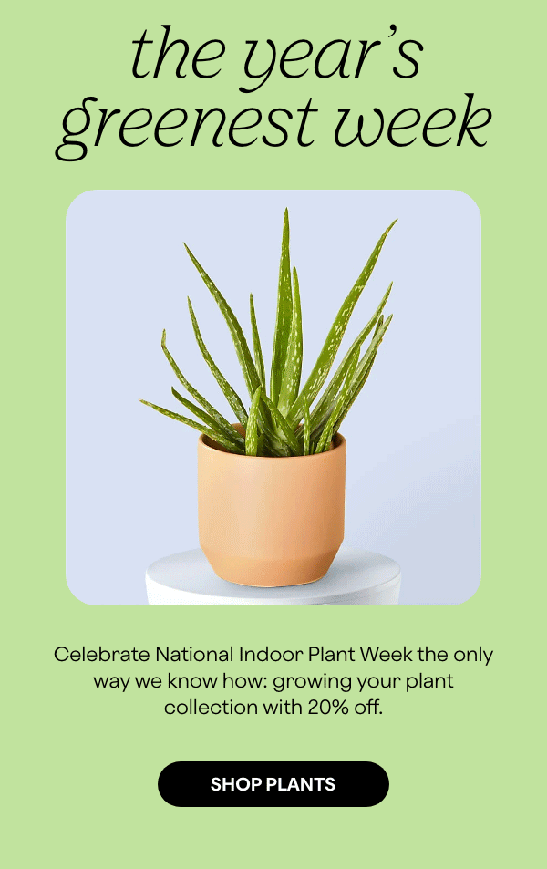 ProPlants happy national indoor plant week! Milled