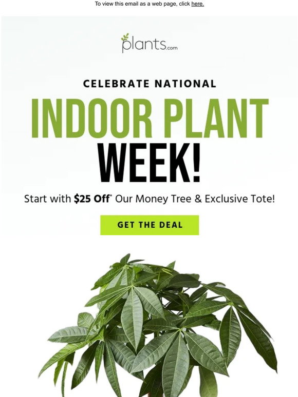Plants Happy National Indoor Plant Week Milled