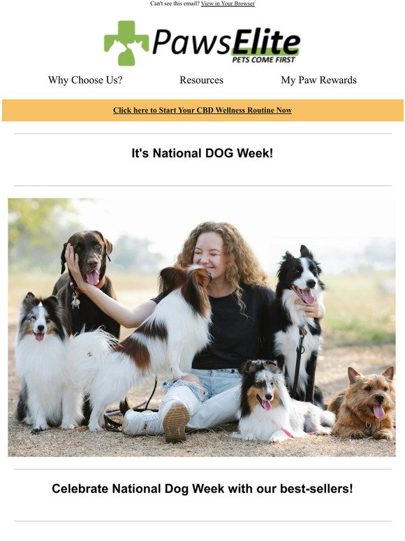 🐶 It's National DOG Week!