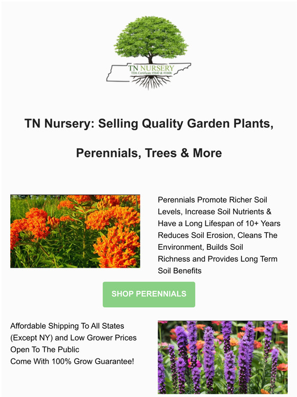 Tn Nursery Grower Prices Direct To You Milled