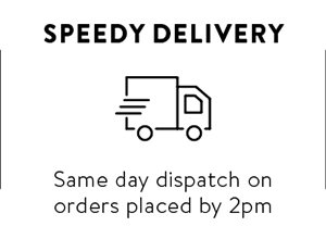 Speedy Delivery