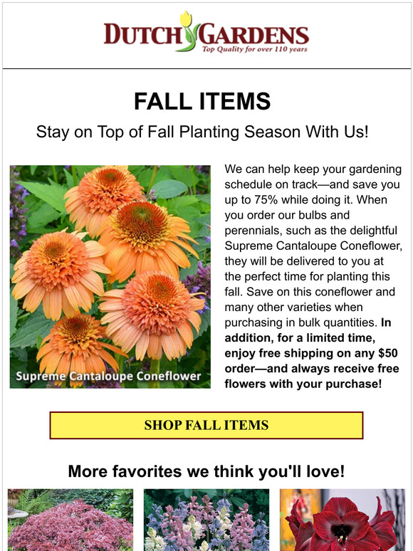 🧄 Save up to 75% on your fall planting