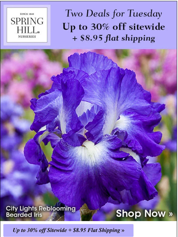 Spring Hill Nursery Here’s the deal... and here’s another. Milled
