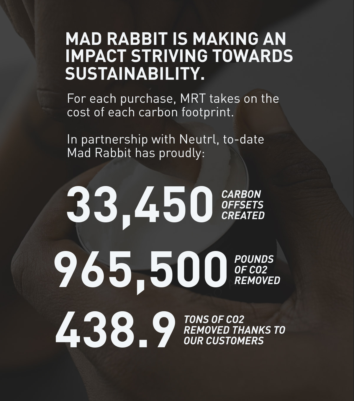 The Mad Rabbit Difference