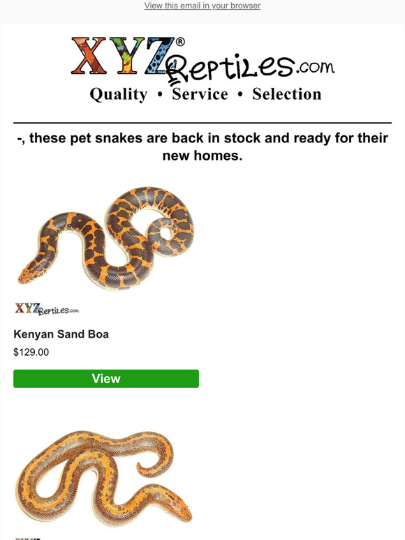 🐍 BELs, KSBs & More Back In Stock