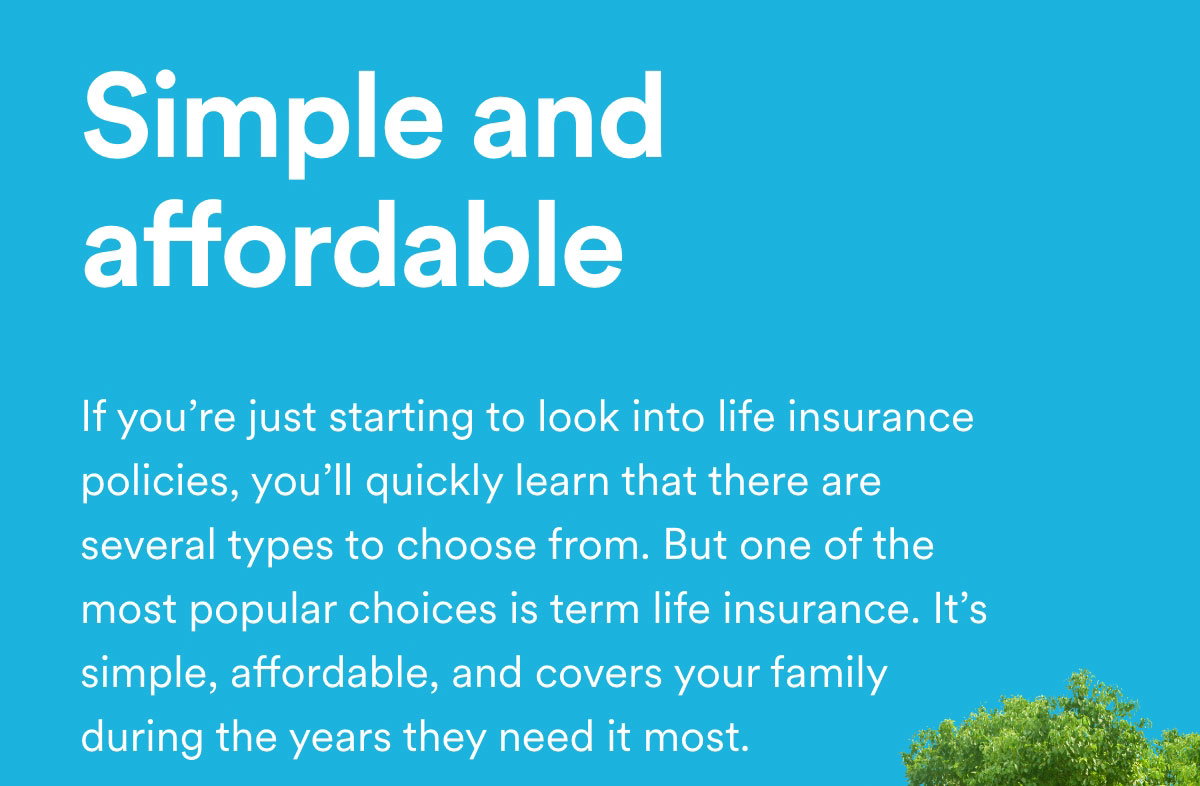 Simple and affordable
