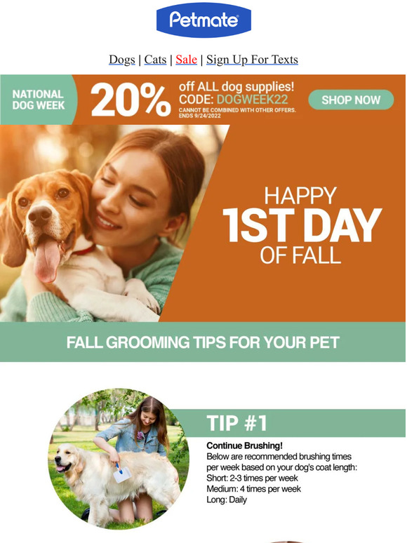 Petmate: Hello Fall! 🍂 Top Fall Pet Grooming Tips | Milled