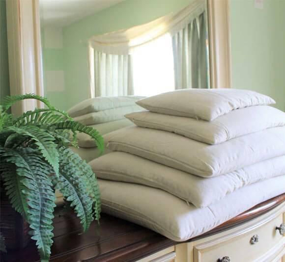 Buckwheat Pillow With Organic Zippered Cover