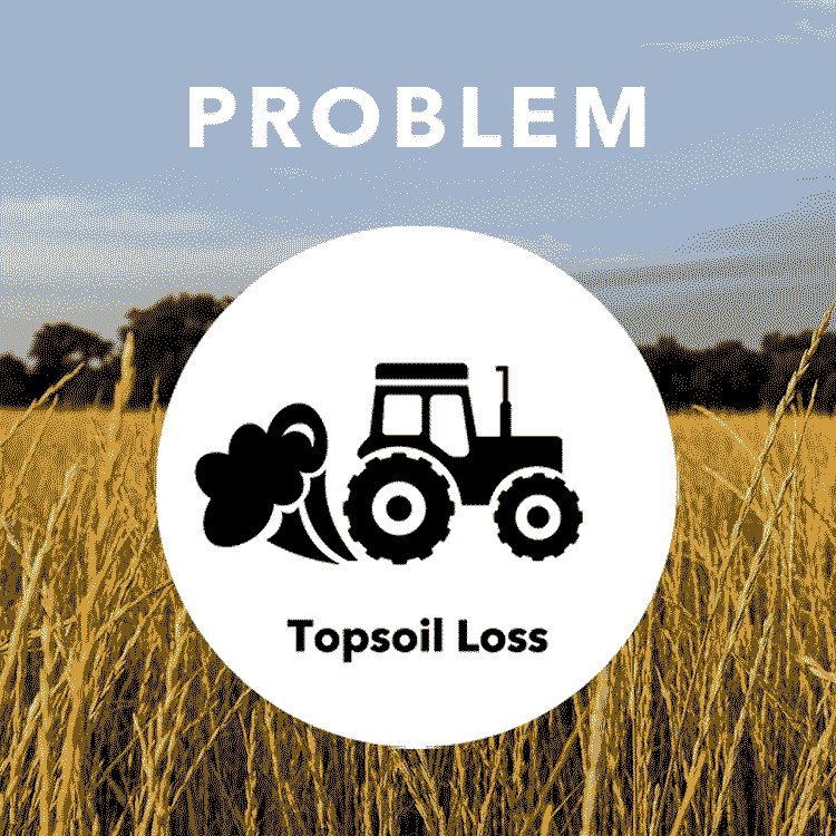 Patagonia How Kernza grain improves soil health Milled