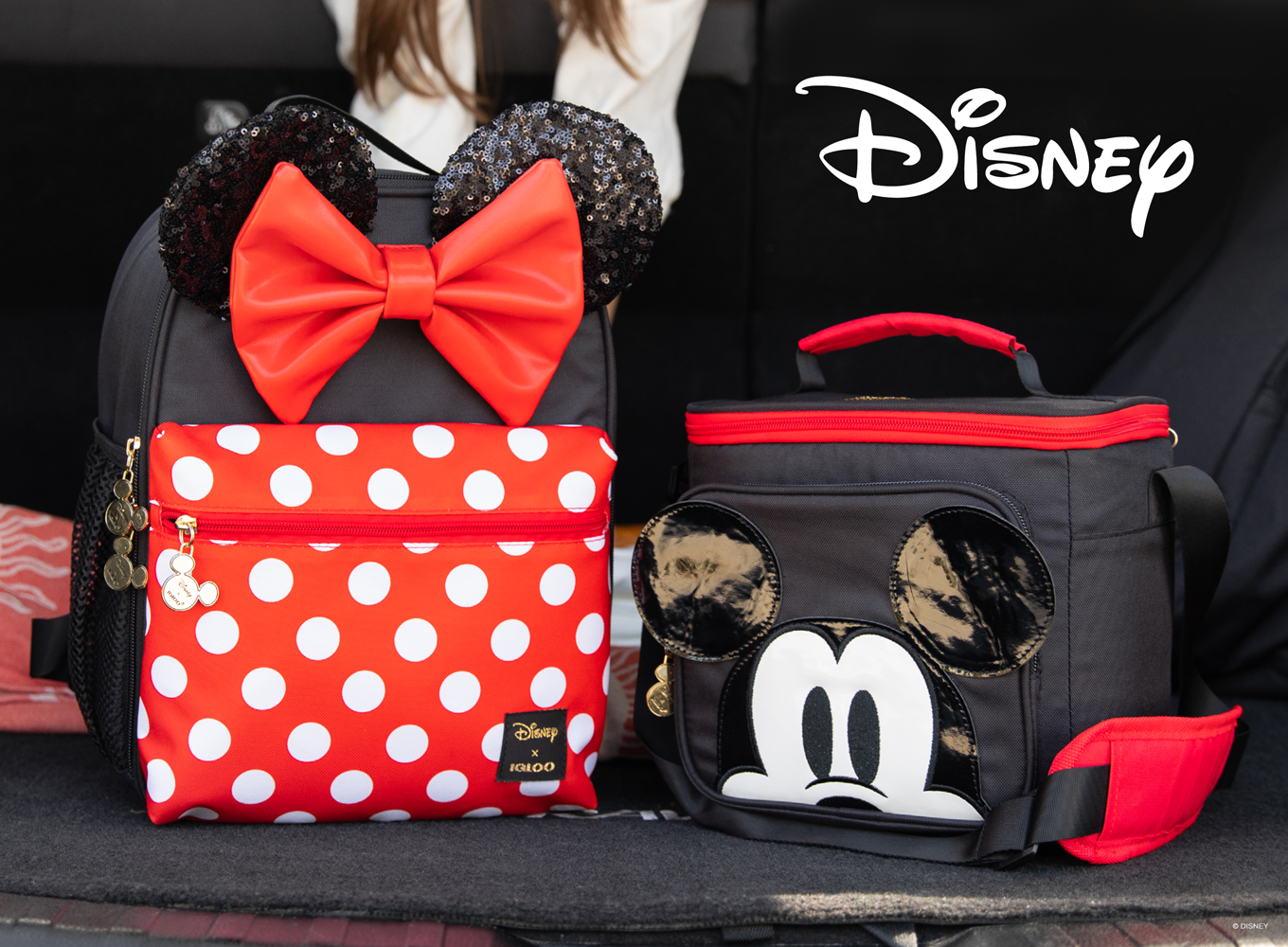 Igloo Coolers | Disney Minnie Mouse Mini Convertible Backpack Cooler