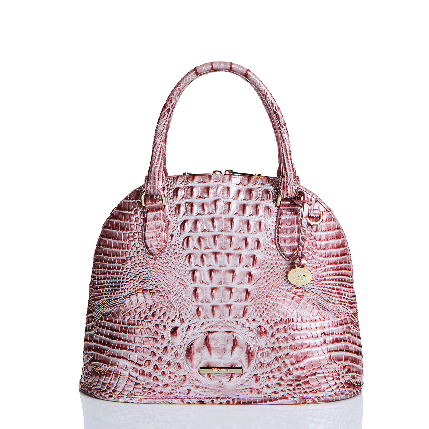 Hot Pink Brahmin Purse Cake I am curious to know what you would