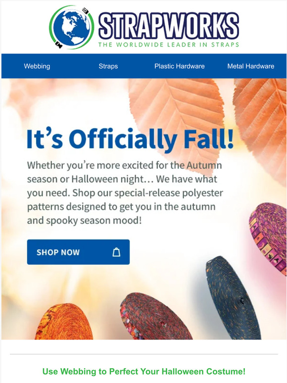 Team Autumn or Team Halloween? 🍂🎃👻