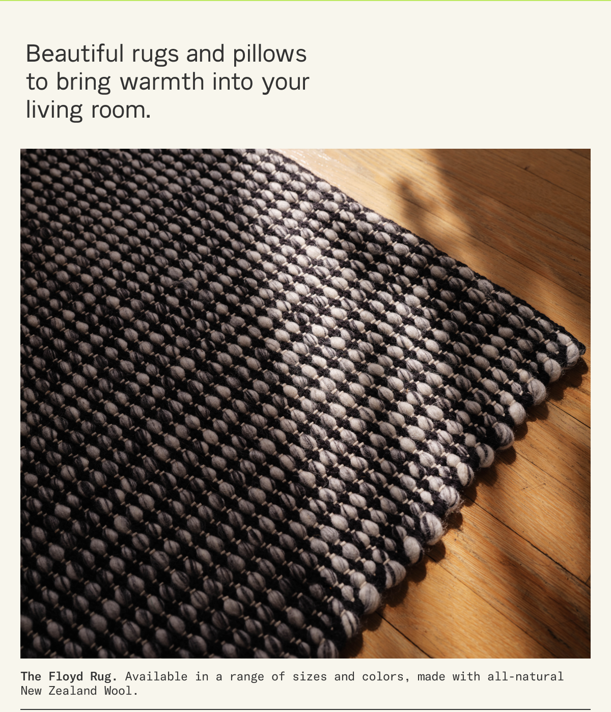 Beautiful rugs and pillows to bring warmth into your living room.