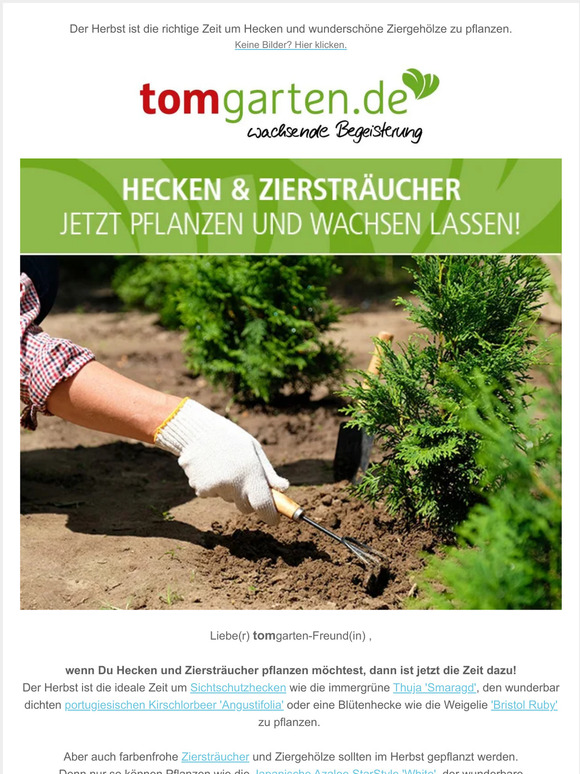 TOM GARTEN ProfiSaatgut und Pflanzenversand 🌿Hecken und Ziersträucher