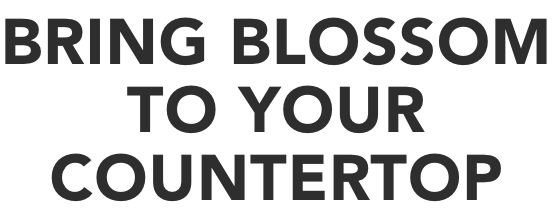 BRING BLOSSOM TO YOUR COUNTERTOP