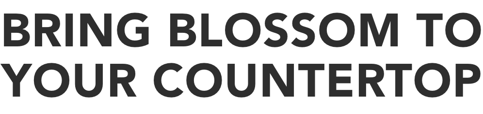 BRING BLOSSOM TO YOUR COUNTERTOP