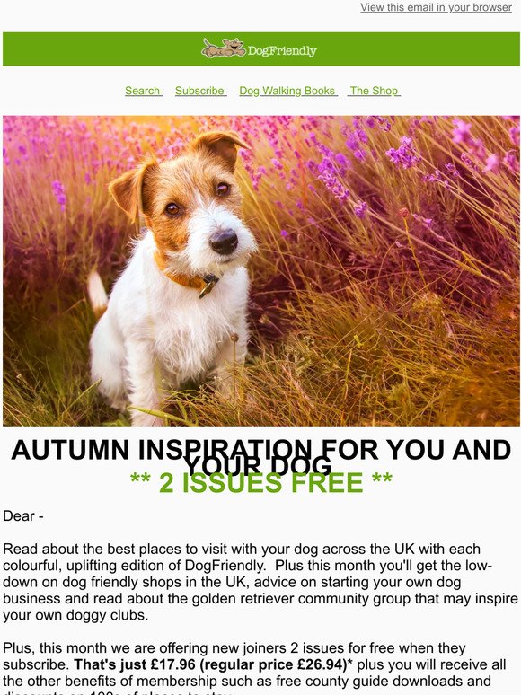 Autumn Inspiration for You and Your dogs