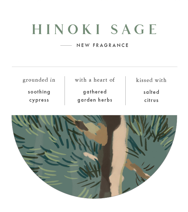 Illume Candles Get to Know Hinoki Sage 🌿 One of Our New Fragrances