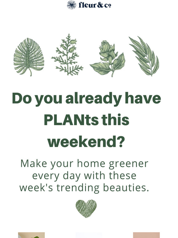 Do you have PLANTs this weekend? 🌱