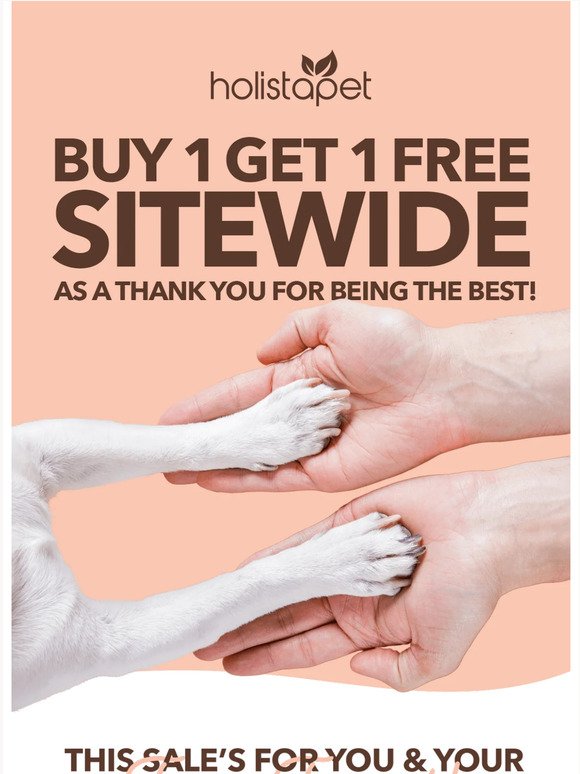 Buy 1, Get 1 FREE Sitewide! 😻