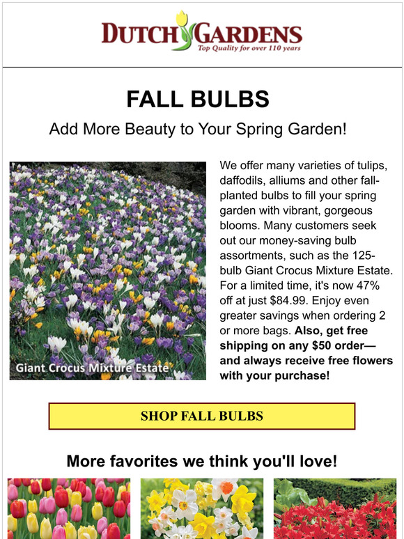 🔆 Give your next spring garden some flair!