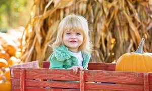 Admission to Pumpkin Patch Festival