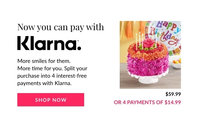 Now you can pay with Klarna.