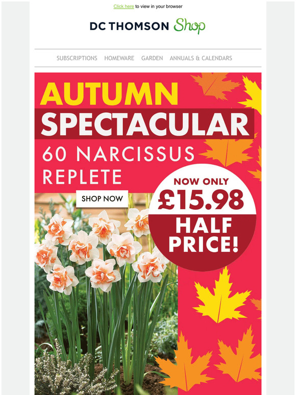 Autumn spectacular savings 🍂