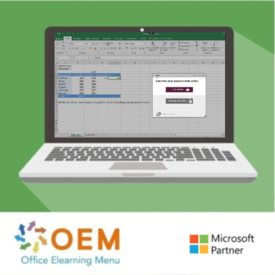 Excel 365 Cursus Basis Gevorderd Expert E-Learning