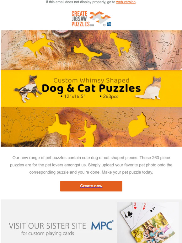 Are you a pet lover? You will love this