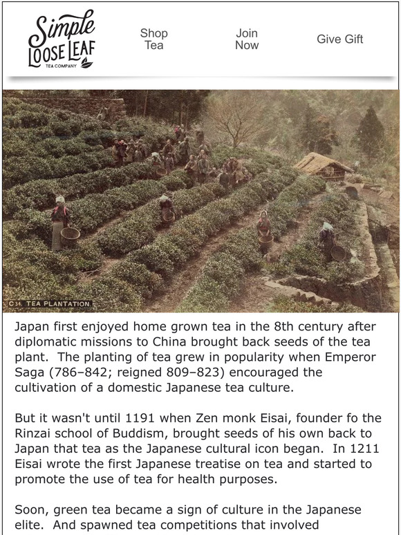 Simple Loose Leaf 1,200 Years of Tea Japanese Tea History Milled