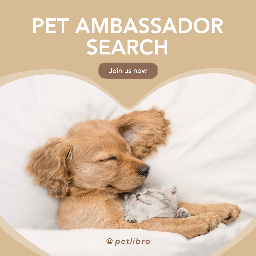 Pet Ambassador Search-1