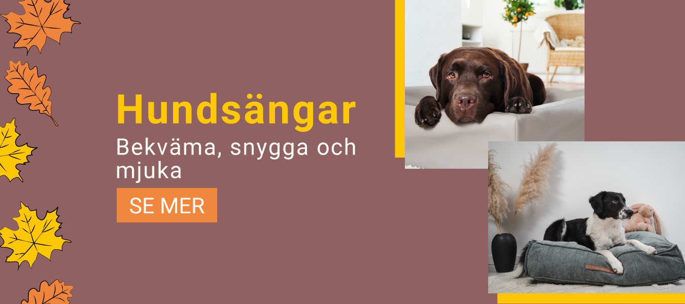 Hundsängar