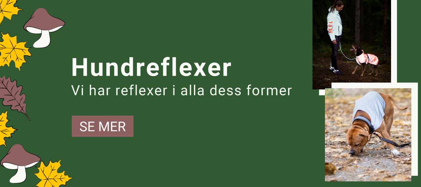 Hundreflexer