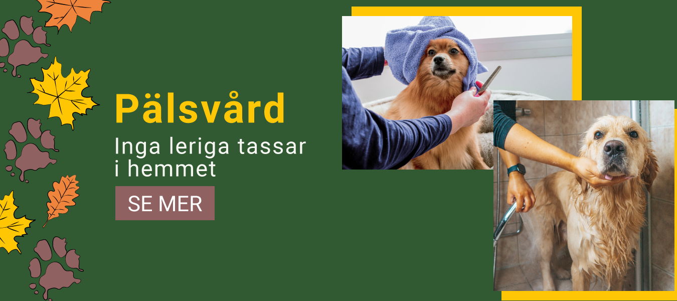 Pälsvård